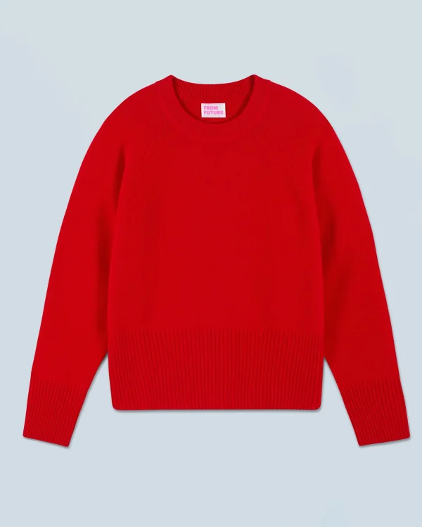 Pull Col Rond^FROM FUTURE Best Sale
