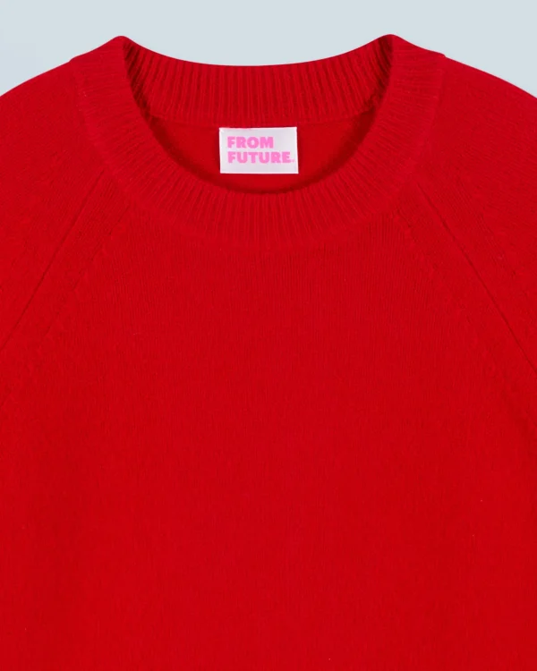 Pull Col Rond^FROM FUTURE Best Sale