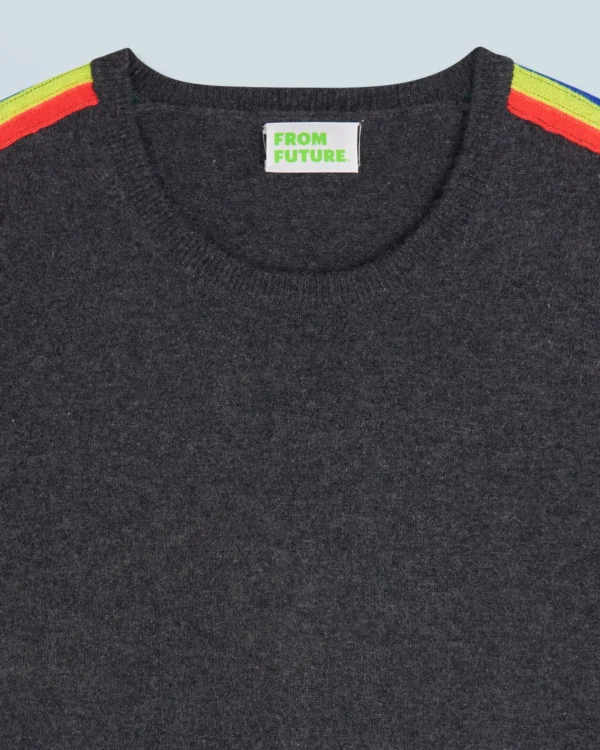 Pull Col Rond Bandes Manches Multicolorelorelore^FROM FUTURE Fashion