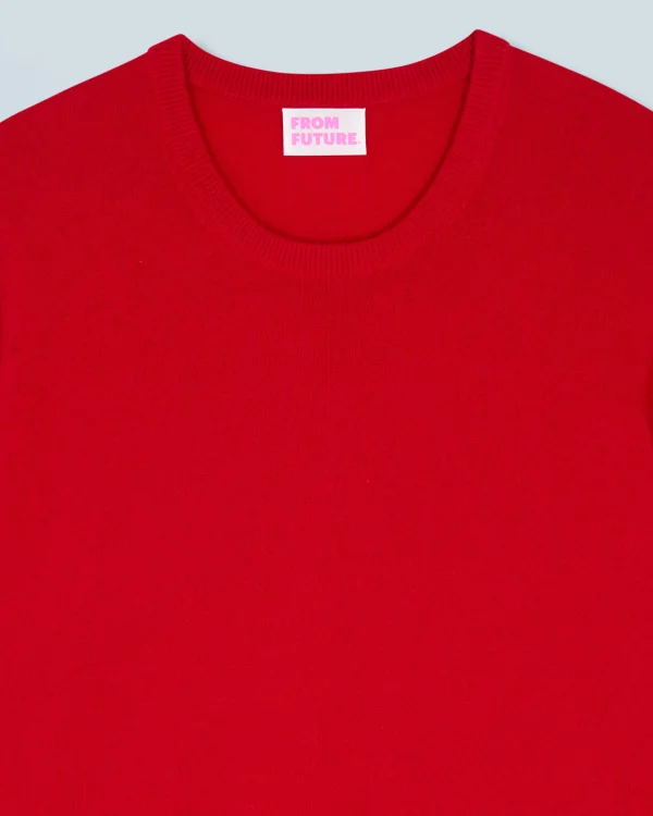 Pull Col Rond Basique^FROM FUTURE Cheap