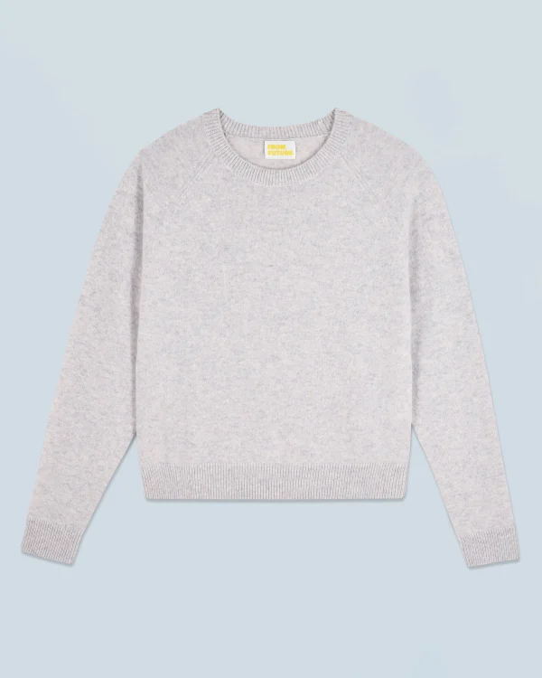 Pull Col Rond Léger^FROM FUTURE Online