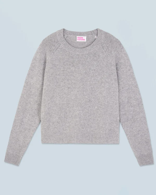 Pull Col Rond Raglan^FROM FUTURE Discount