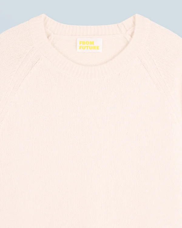 Pull Col Rond Raglan^FROM FUTURE Fashion